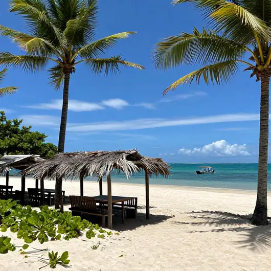 Beach Bahia Dive