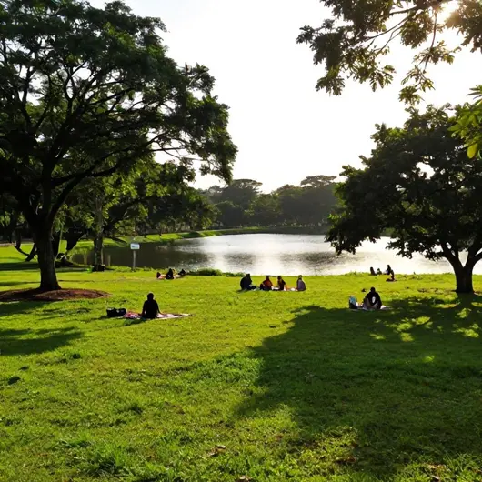 Descubra o River Park