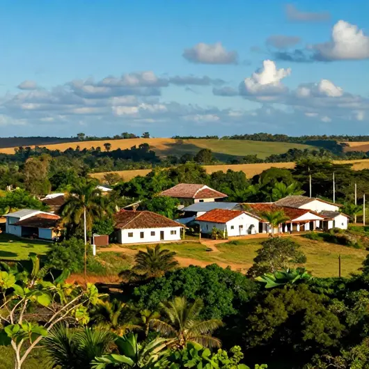 Descubra Terra Dourada
