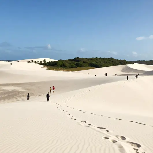 Explorando o Parque Estadual Dunas de Natal