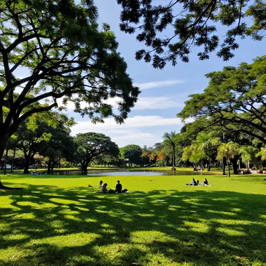 Parque Dom Nivaldo Monte Parque Dom Nivaldo Monte